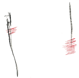 niv1-2 copier.gif (6539 octets)