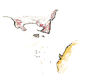 niv1-3B.gif (3943 octets)