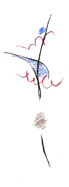 niv1-7 copier.gif (4708 octets)