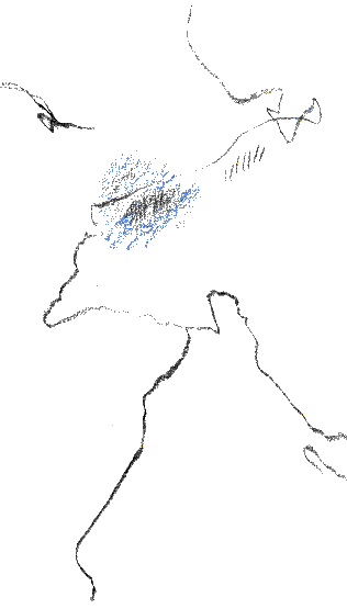 niv3_1B copier.gif (4262 octets)