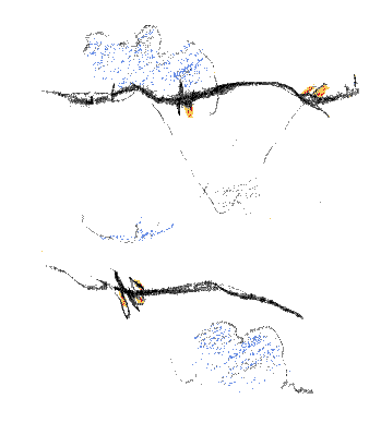 niv3_7BBhaut copier.gif (4105 octets)