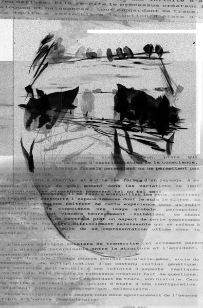 r10.jpg (58009 octets)