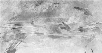 r12.jpg (18164 octets)