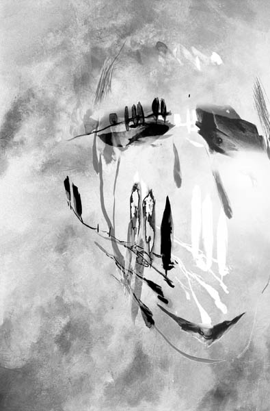 r14.jpg (39649 octets)