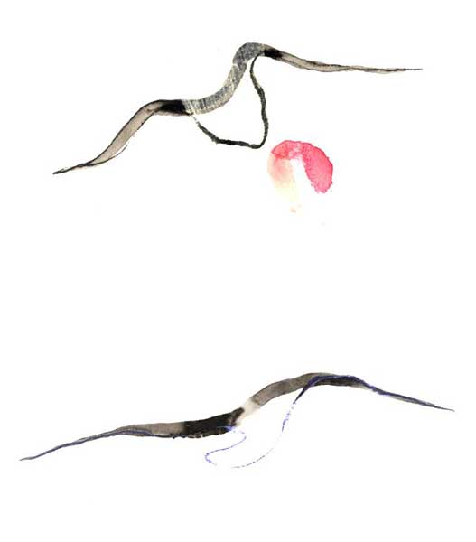 A_7.jpg (15720 octets)